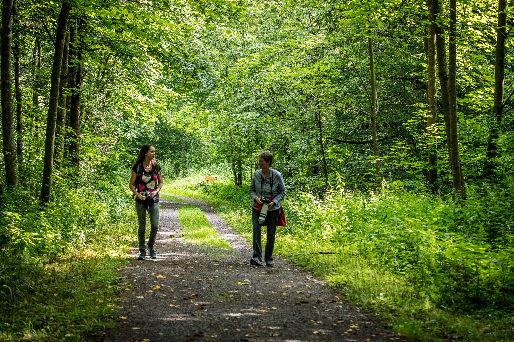 20210725105629 017935